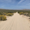 Easy Street Desert Wilderness