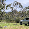 Candlebark Mountain Refuge
