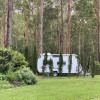 Mistinthegumtrees Eco Camping sites