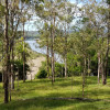 Winegrove - Fig tree Lookout P2