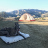 Camp Out @ Freedog Farms