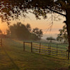 Alpaca's of Fairhawk