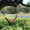 Mockingbird Farms Tent Camping
