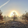 5 acre property