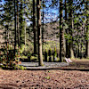 Surrounded by Nature!