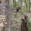 Faith Acres Farm Cabin in the Woods