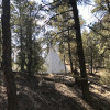 Pine Forest Tipi with Views!