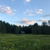 Wildflower Meadow - Drive-in Site