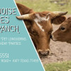 Site 2 - Turquoise Acres Ranch