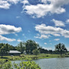 Wildwood Campsite