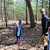 Little Birds Farm - Rolling Forest