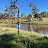 Spring fed dam
