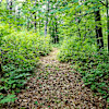 Forest Off-Grid Organic Farm Camping