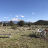 Epic Mt. Shasta views and Disc Golf