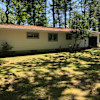 Pine woods, home for tents and camp