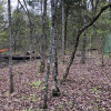 Tent sites deep in the Ozarks