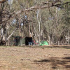 Cockatoo Camp (trees and tracks!)