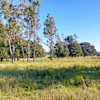 Site 4 - Gracemere Farmstead Campsites