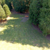 The Arboretum - Cedars