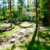 Forest Sanctuary