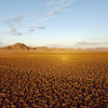 Desert Vineyard RV & Trailer