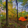 Chesapeake Camping