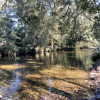Glenmoore River Camp 2 