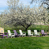 Site 3 - Devil’s Lake Lavender Glamping Farm