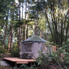 The Alseides Yurt in Mystical Woods
