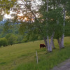 Site 6 - Arbuckle Acres Family Farm