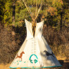 #2 Wild Mustang Native American Tip