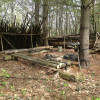 Bush Camp in the Carolinian Forest