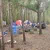 Wooded campsites on the Waccamaw