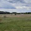 open grassy field.
