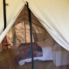 White Oak Glamping Tent, #4