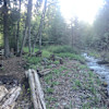 Creekside East, Tranquility