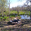 Sugar Maple Farm
