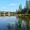 Little Swan Lake Off Grid Camp & RV