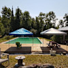 Peaceful Poolside Bliss!