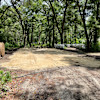 Under the Oaks