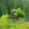 Treehouse in Forest Wonderland