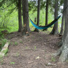Relaxing Camp Sites in The Woods