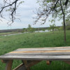 Camp site in the Orchard