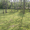 Garden site