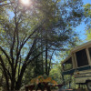 Secluded Oak Grove Popup Camper