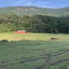 Mountain Horse Farm Retreat