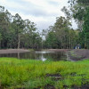 Bungawalbin Wildlife Reserve