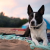 Wisconsin River Sandbar Camping 1