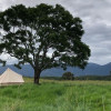 Glamping with Epic Farm Views