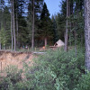 Sugar Pine Camp: Site #3